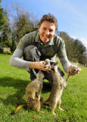 Jay with the Meerkats